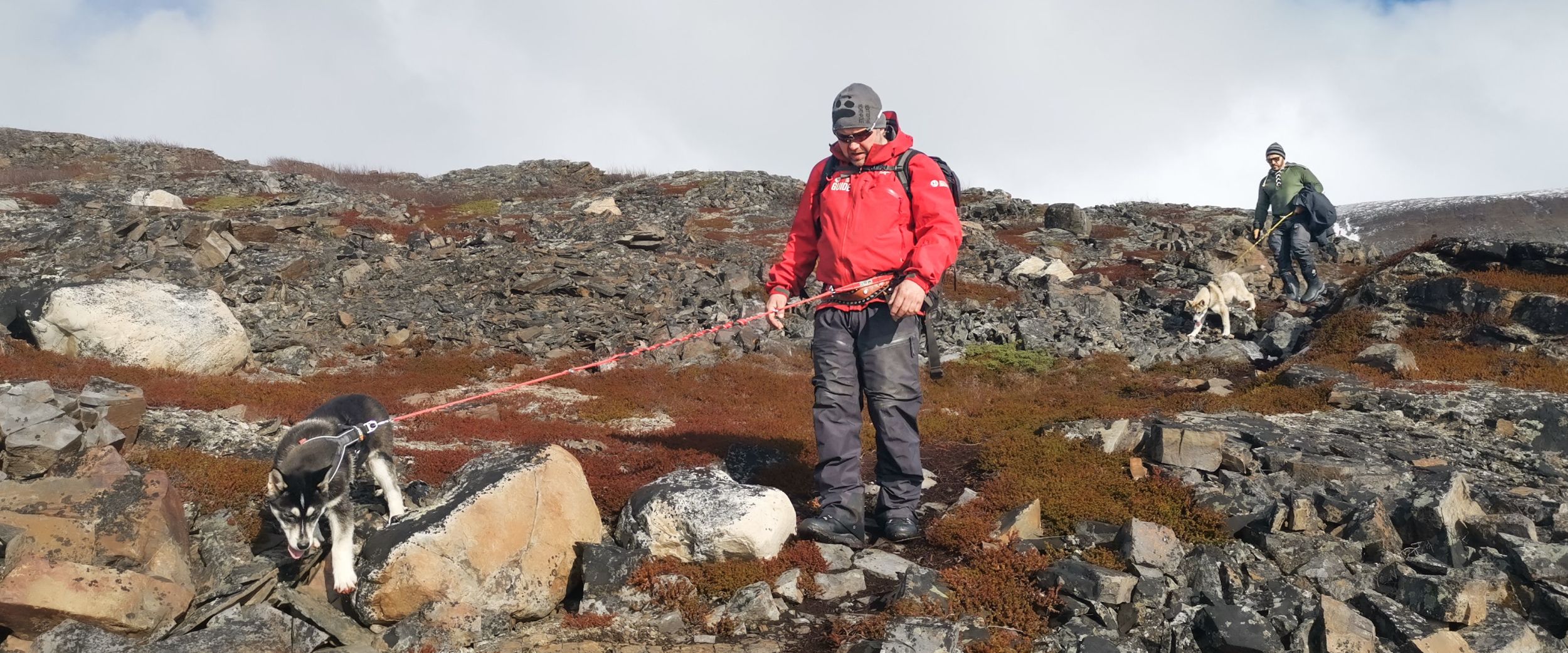 HUsky hike in Hammerfest