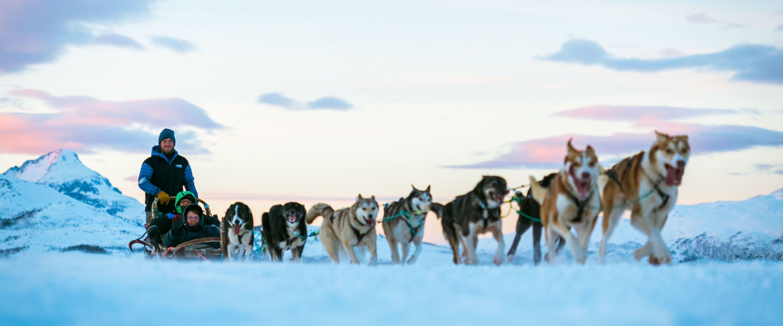 Hundekøyring Tromsø Vinter