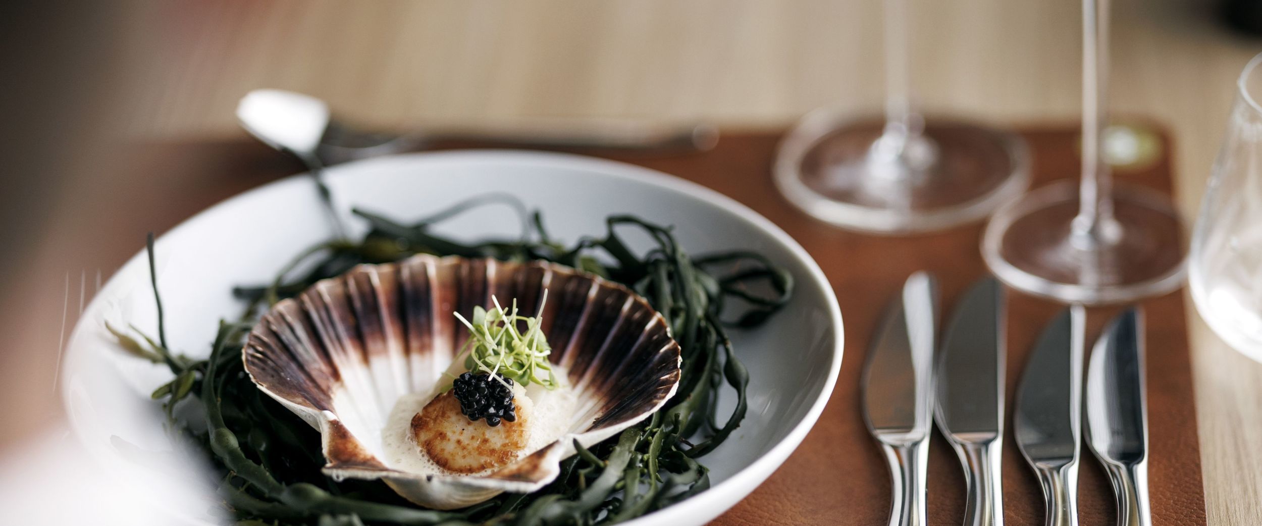 Kamskjell i Hildring