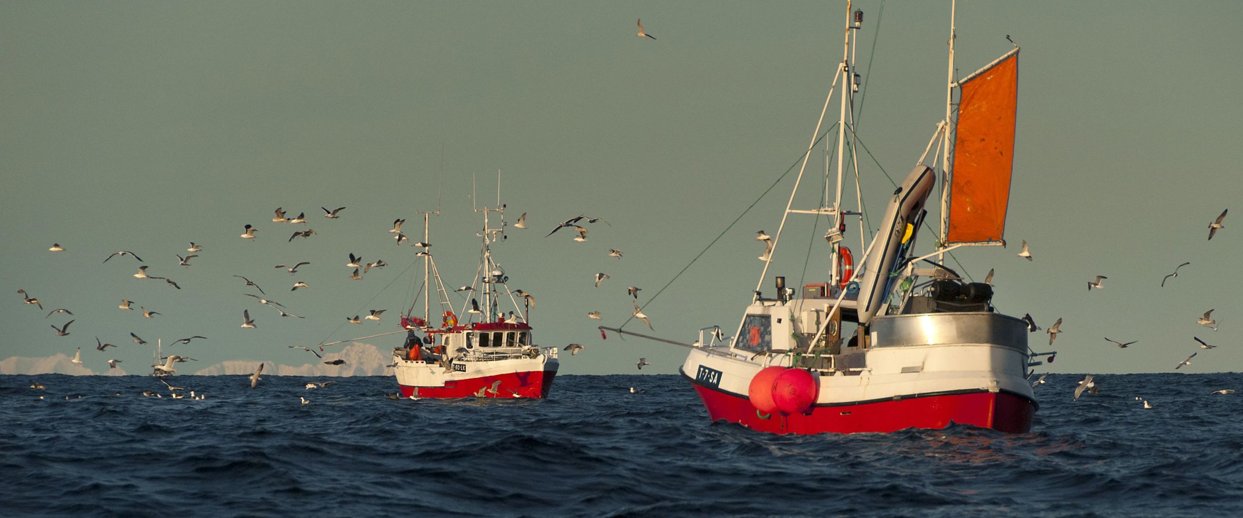 Fishery in Lofoten, Photo: Reiner Schaufler, nordnorge.com