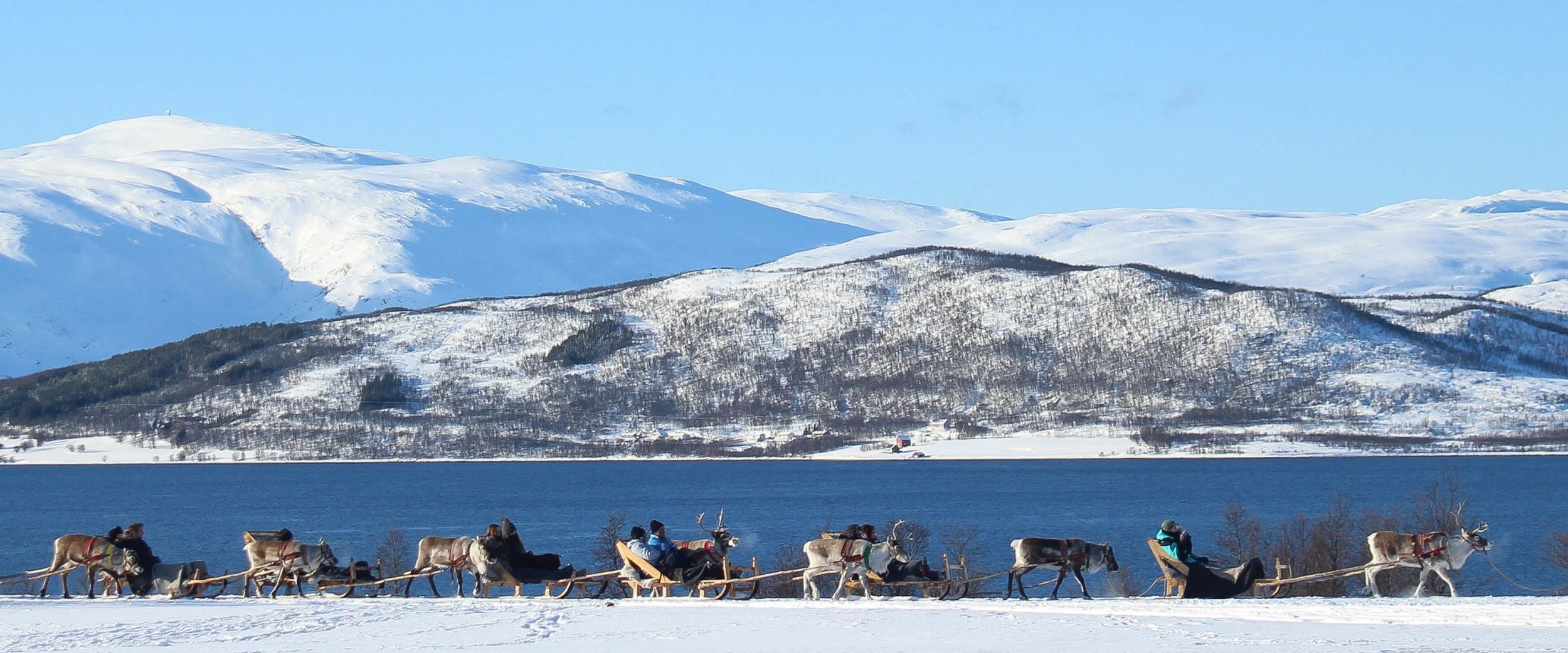 Sledetur med reinsdyr, vinter