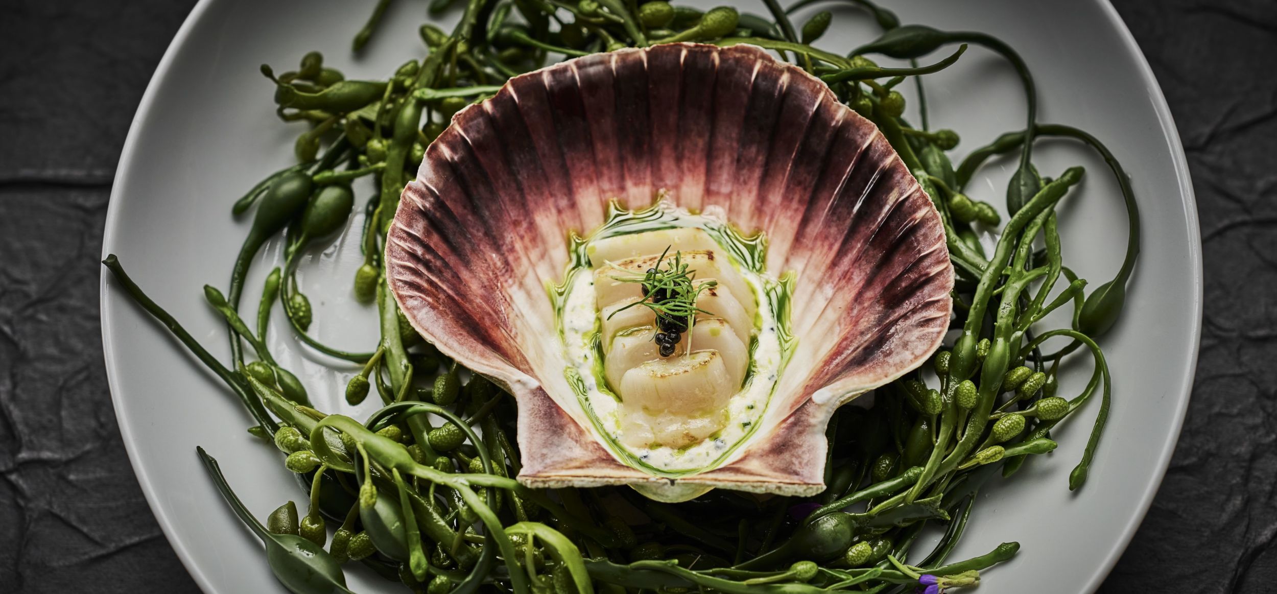 Scallops served in own shell from Hildring Fine Dining, photo by Tom Haga
