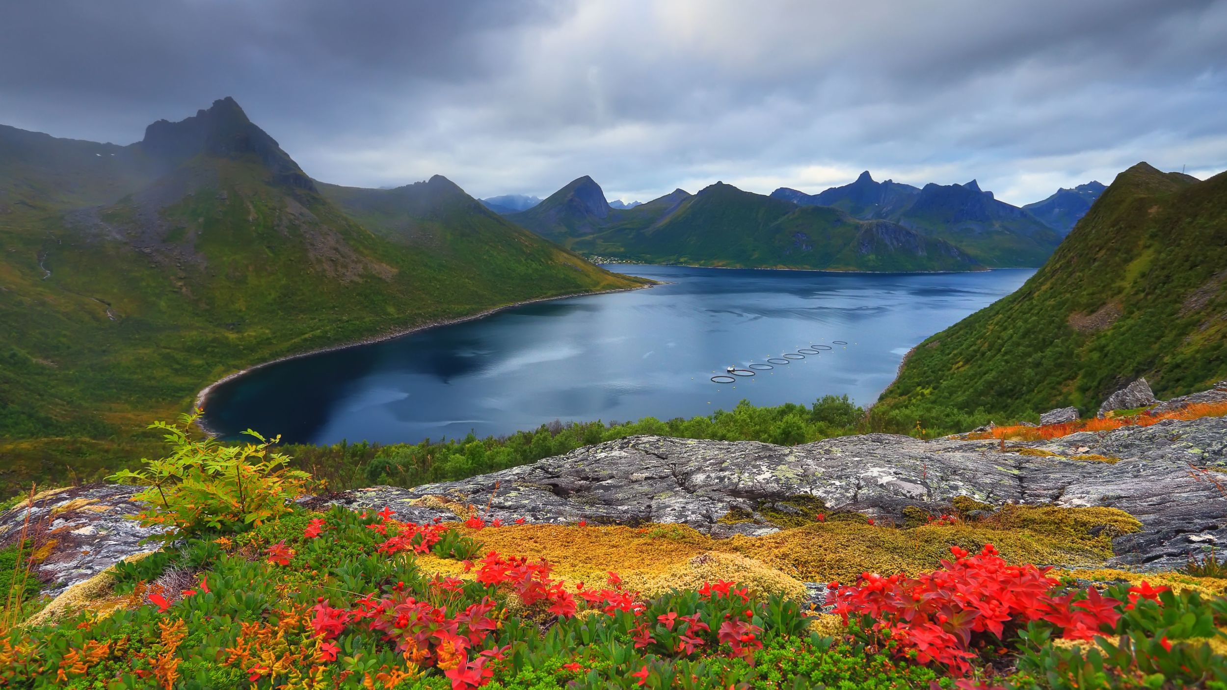 Autumn in Lofoten.