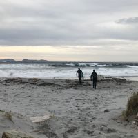 Surfers apporaching the big waves at Sandvika in Alnes outside Alesund
