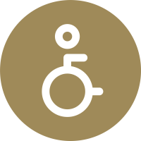 Icon with wheelchair