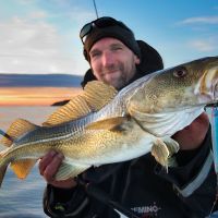 A happy man with his catch a fresh norwegian cod.