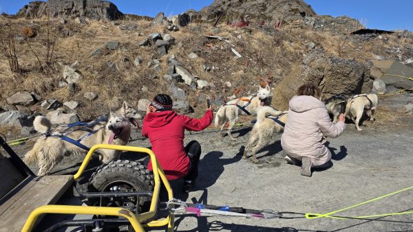 HVGN12 excursion with huskies with Havila Voyages