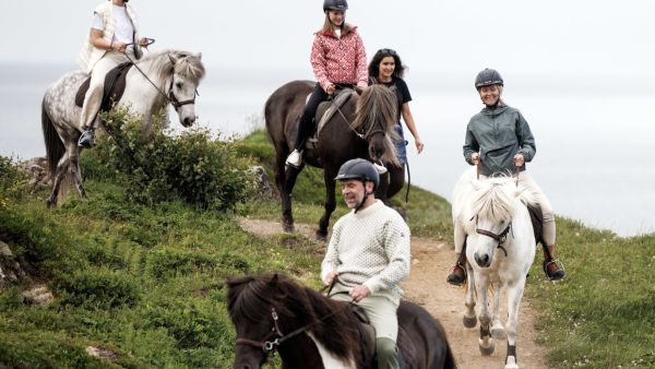 lofoten horse riding excursion