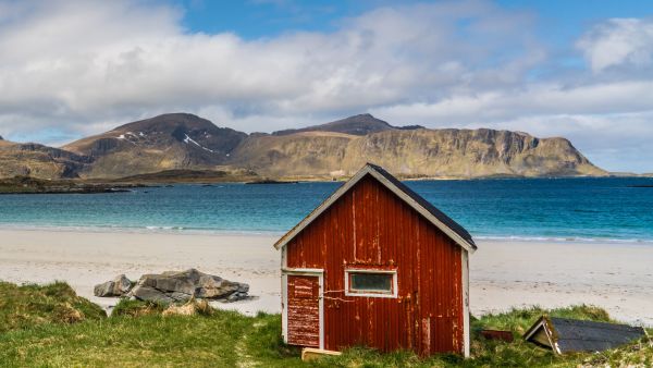 Red cabin in Lofoten in spring