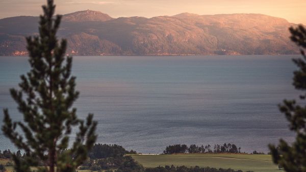 Trondheimsfjorden, Photo: David Becker, Unsplash