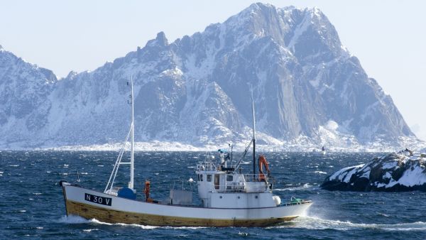 Fishery in Lofoten a sunny winterday. Photo: Terje Rakke, Nordic Life, nordnorge.com