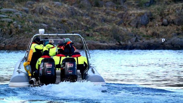 rib safari henningsvær lofoten havila norway excursion STUN3