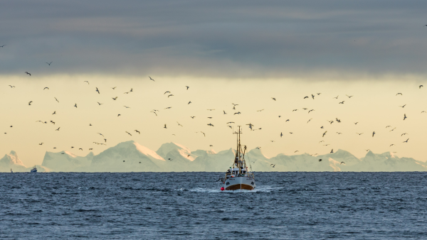 Traditional fishing boat in Lofoten. Photo: Knoff, visitnorway.com