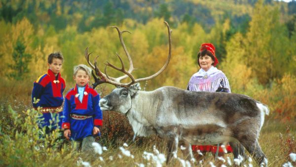 Sami woman and children in traditional costumes with a reindeer