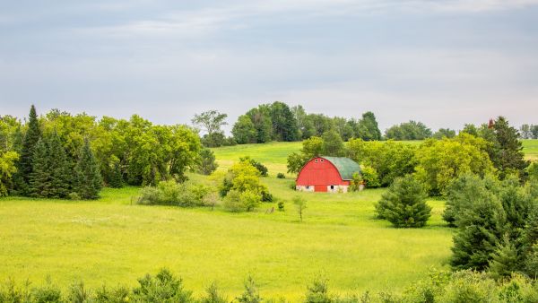 Red barn surrounded by green trees and meadows in a rural landscape, with a partly cloudy blue sky in the background.