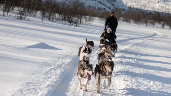 husky excursion