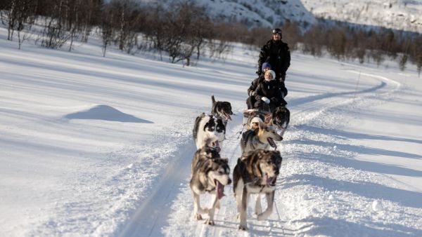 husky excursion