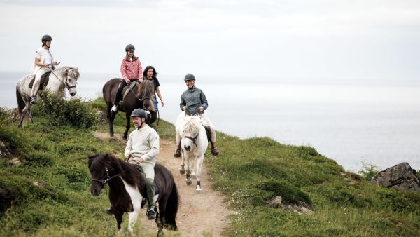 Opplev vakre Gimsøya i Lofoten på hesteryggen. Foto: Marius Beck Dahle 