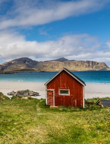 Red cabin in Lofoten in spring