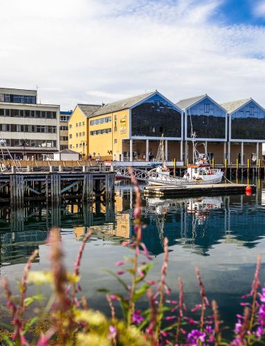 Hammerfest in the summer, photo: Ziggi Wantuch, hammerfest-turist-as
