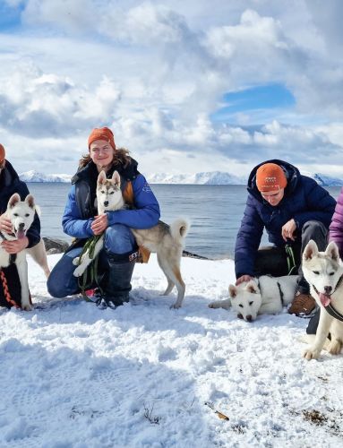 Meet a sled dog winter group