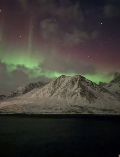 Northern Lights - Bea Eglin