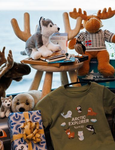 Plush moose in a Norwegian sweater sitting on a wooden stool, surrounded by gift items including craft kits, an embroidery kit, a wrapped Havila gift box, a wooden puffin, a notebook, a “Don’t Tip The Waiter!” game and a plush polar bear, with the sea visible in the background.