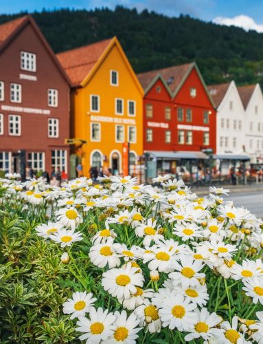 Bryggen in Bergen
