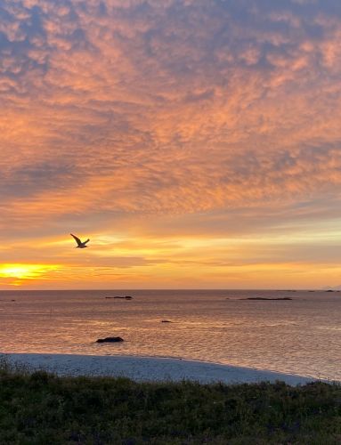Midnight sun in Lofoten photo by Tonje Ytrebo