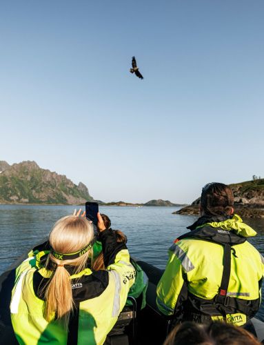 Havila Voyages_ RIB sea eagle safari in Lofoten