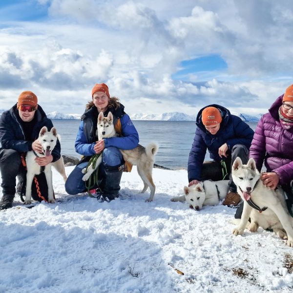 Meet a sled dog winter group