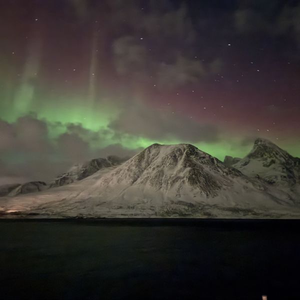 Northern Lights - Bea Eglin