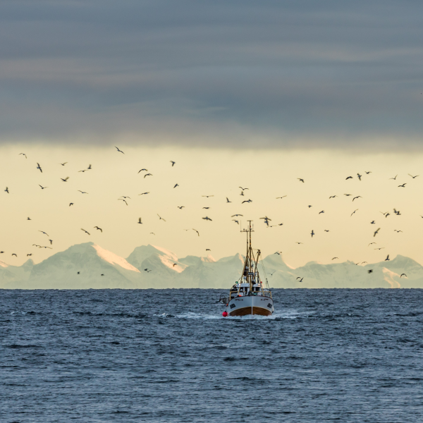 Traditional fishing boat in Lofoten. Photo: Knoff, visitnorway.com