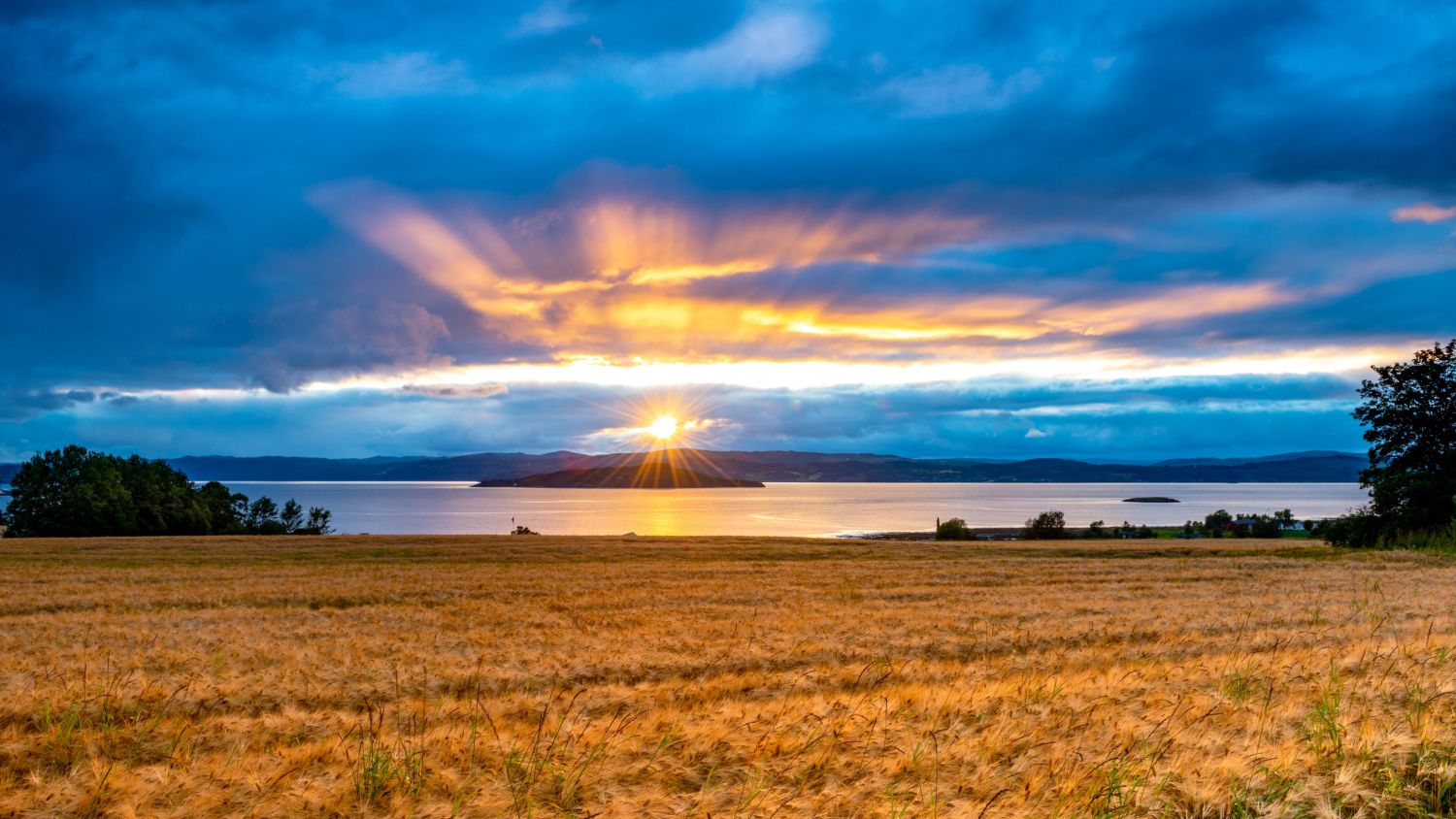 Trondheimsfjorden in the sunset