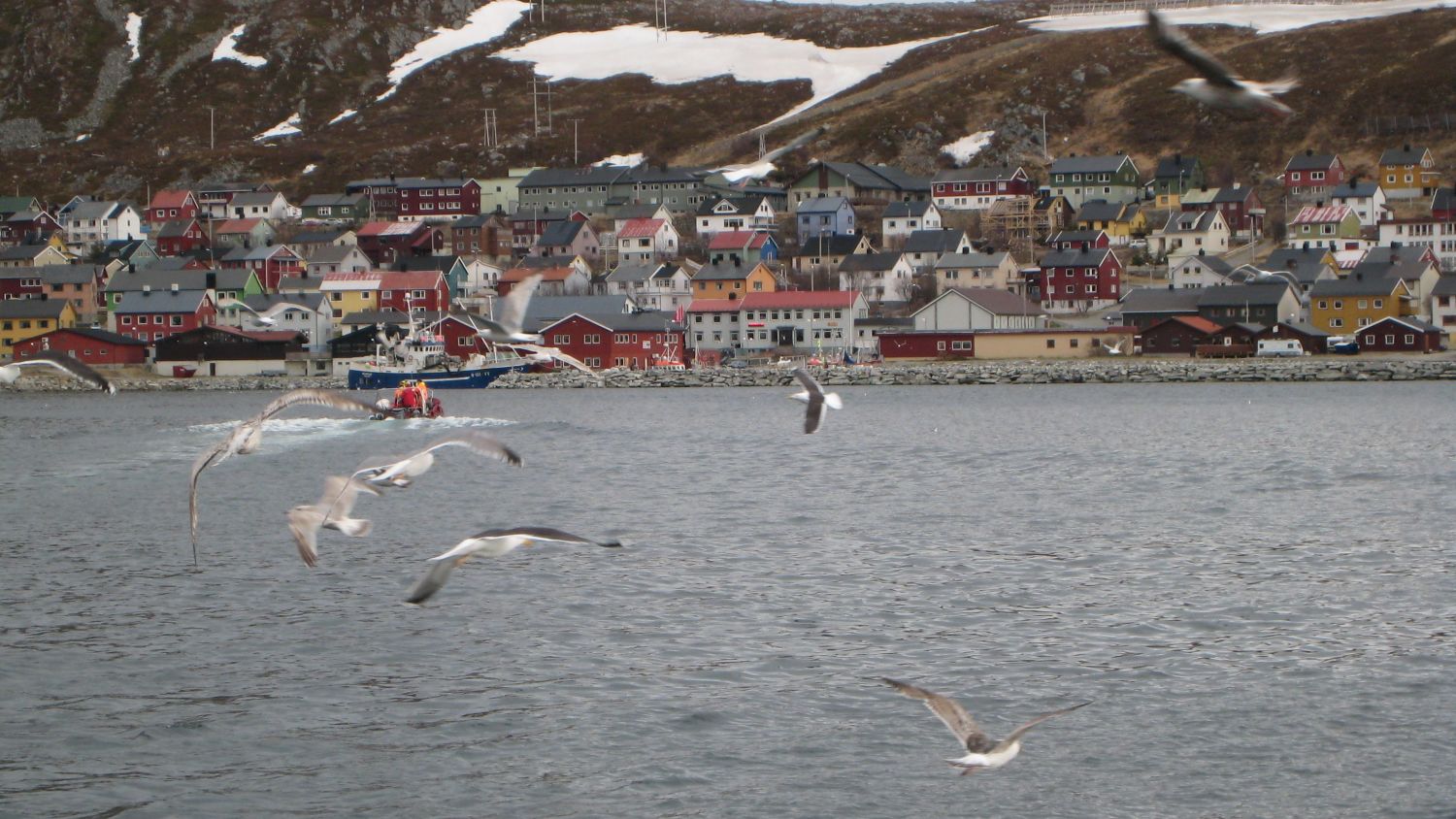 Kjøllefjord with seagulls. Photo: Nina Smedseng, nordnorge.com