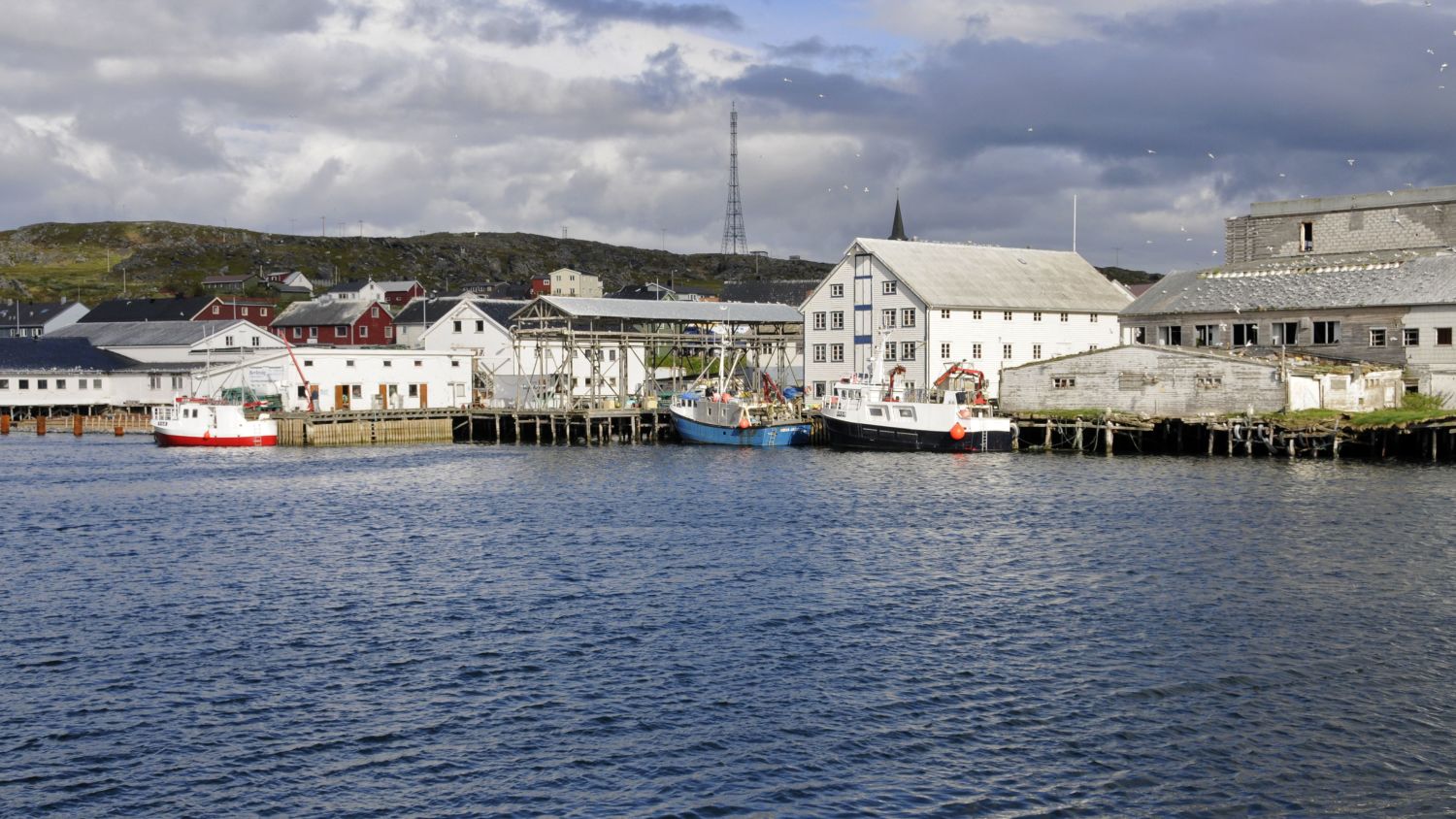 Port of Berlevåg 