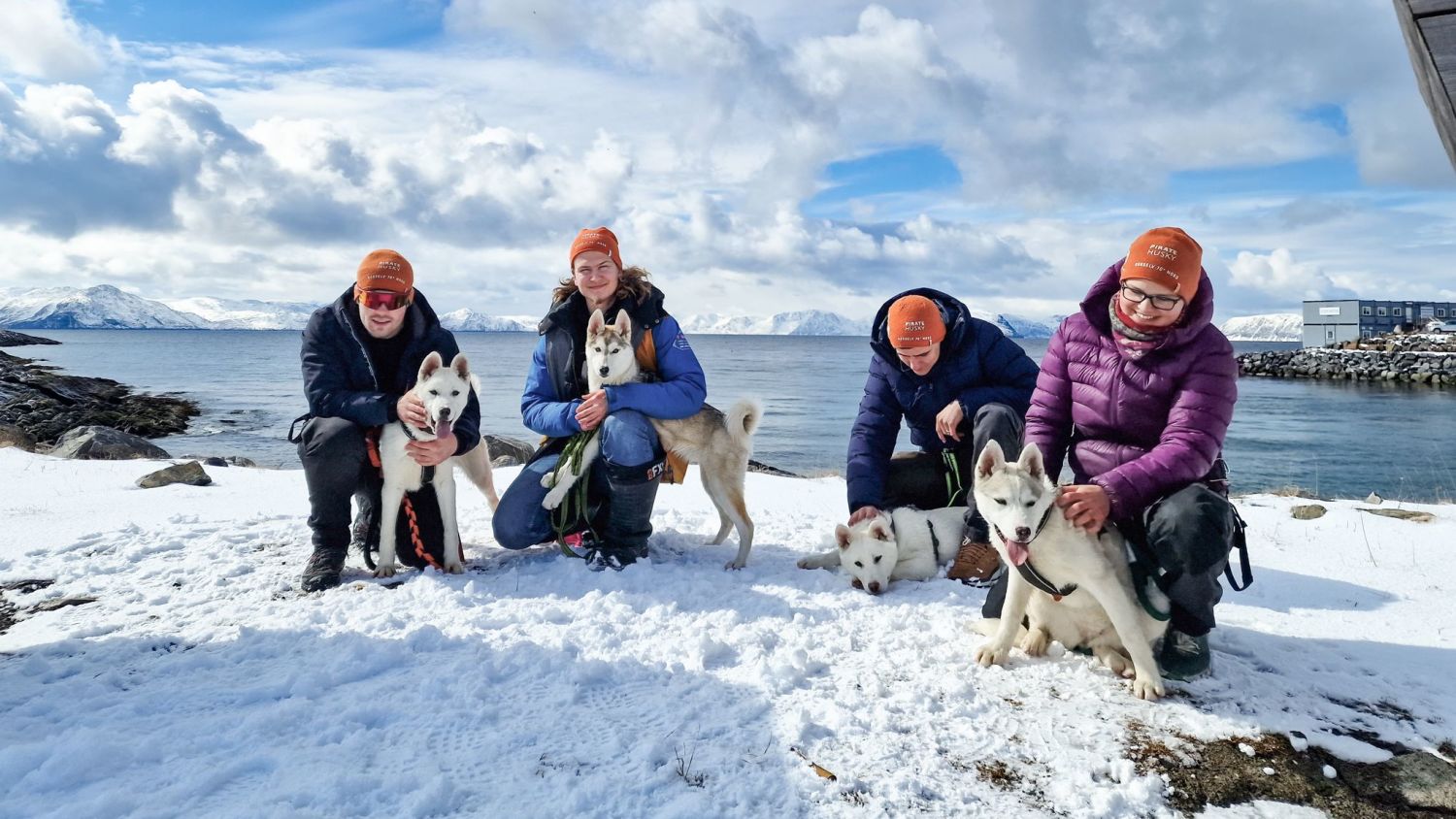 Meet a sled dog winter group