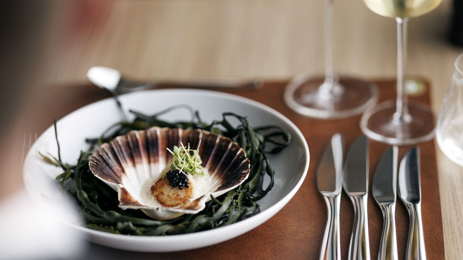 Kamskjell i Hildring