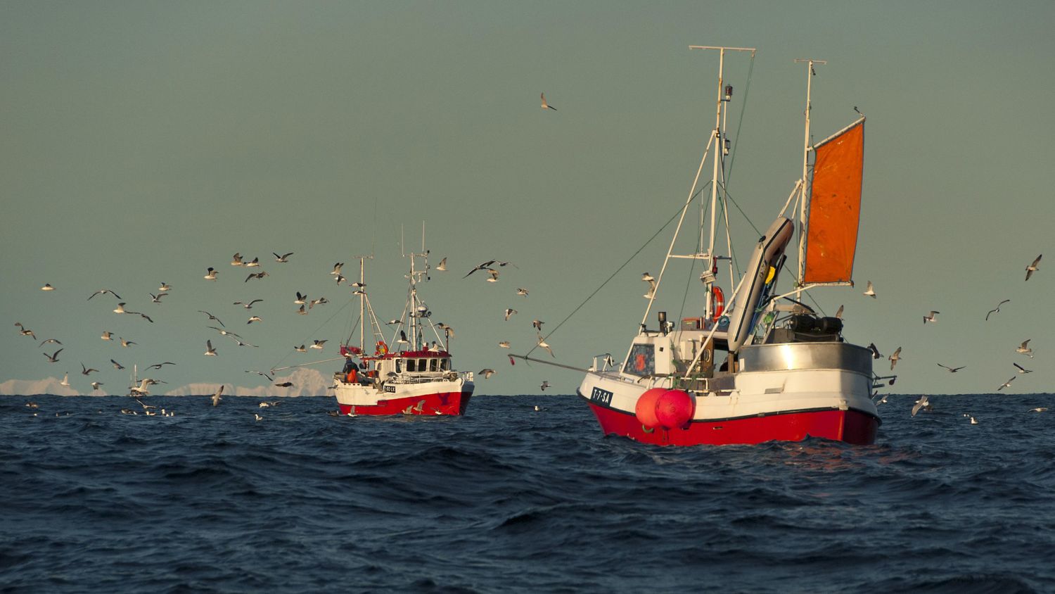 Fishery in Lofoten, Photo: Reiner Schaufler, nordnorge.com