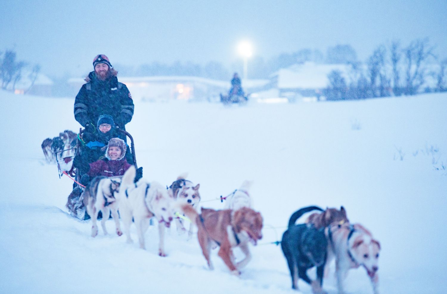 Hundekøyring utanfor Tromsø i snø og vinter