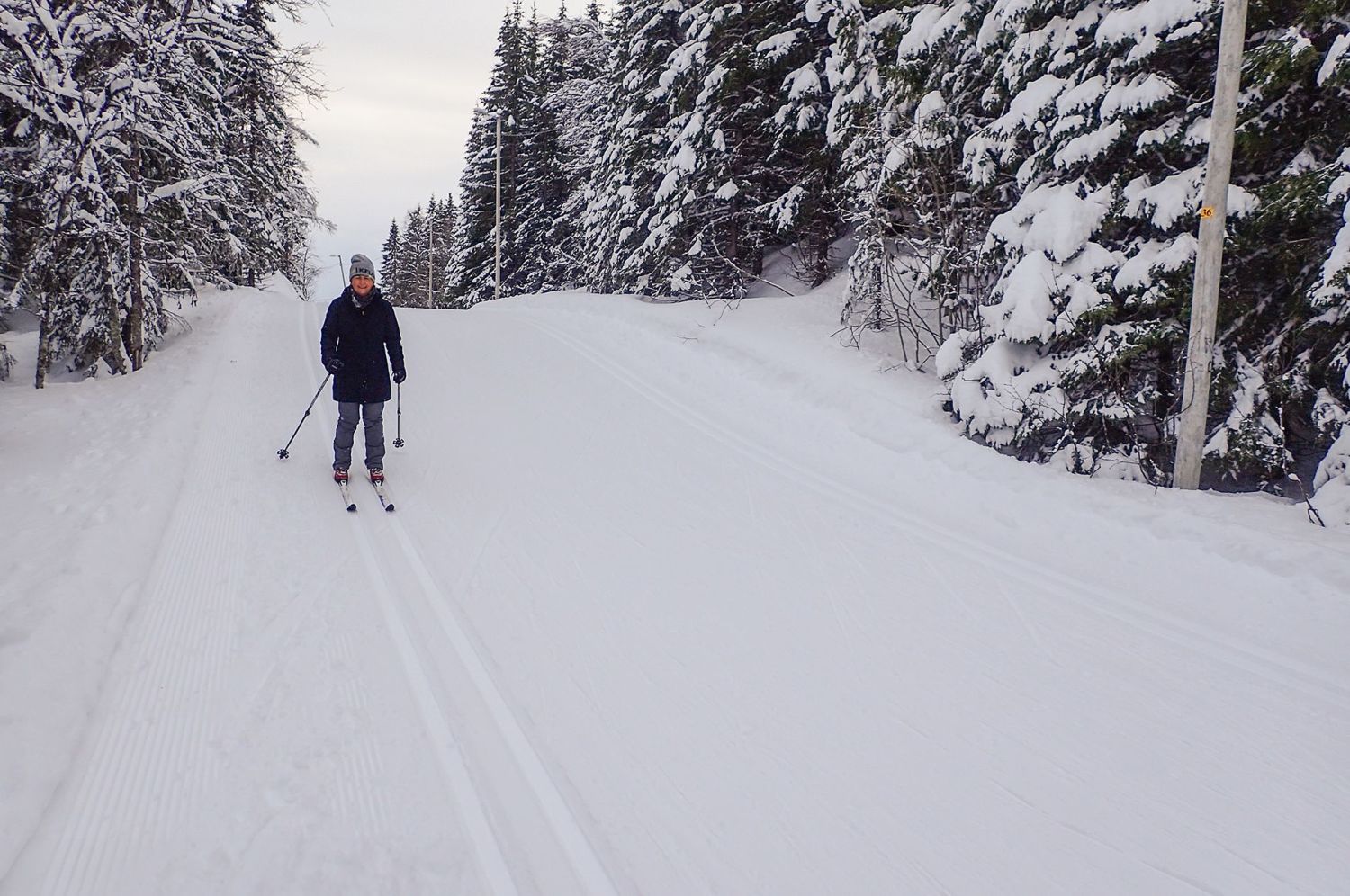 Cross-country skiing for beginners with Havila Voyages in Tromsø, Norway.