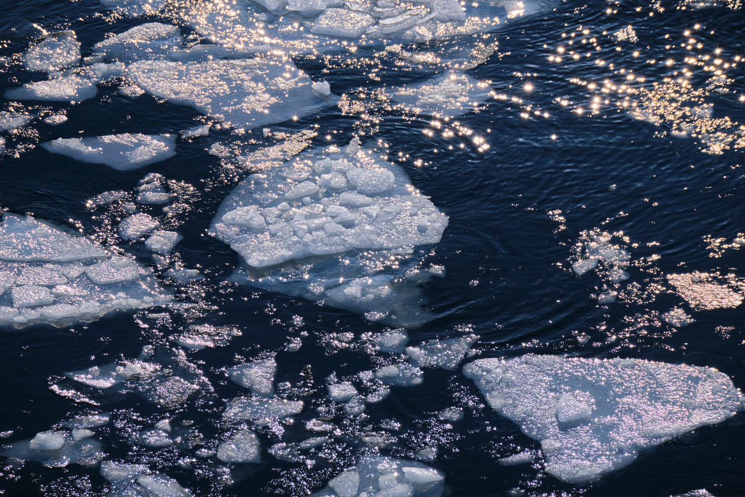Floating sea ice glistens in the sunlight on dark blue Arctic waters.