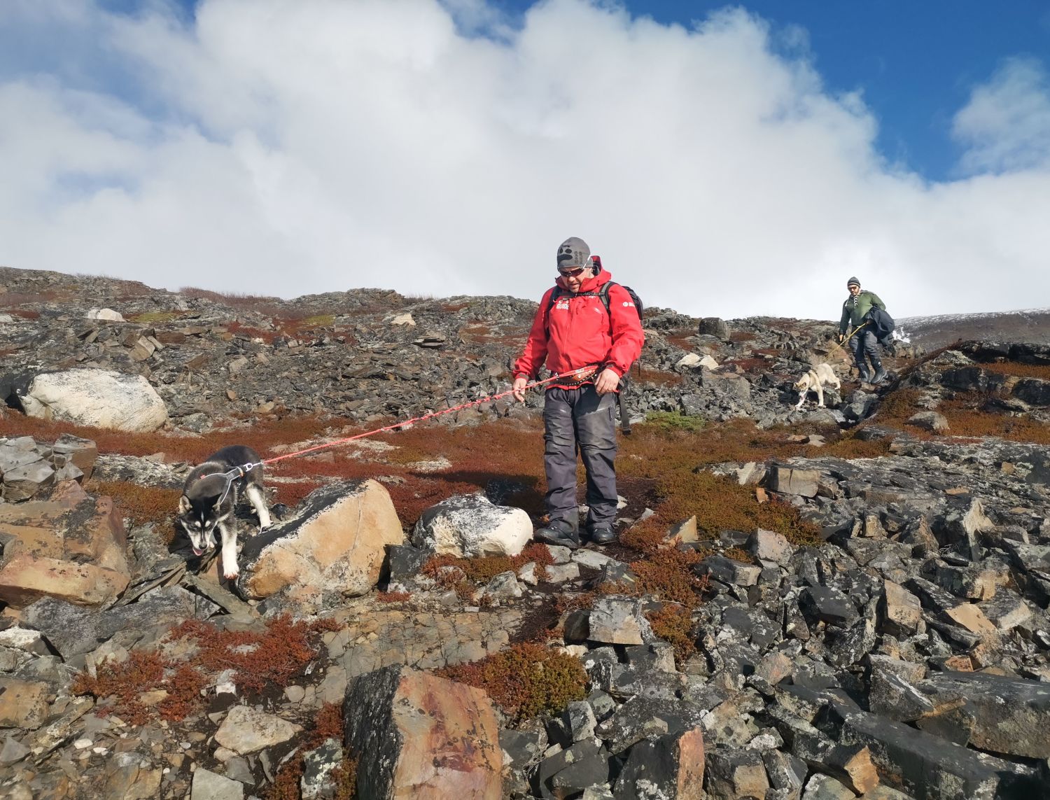 HUsky hike in Hammerfest