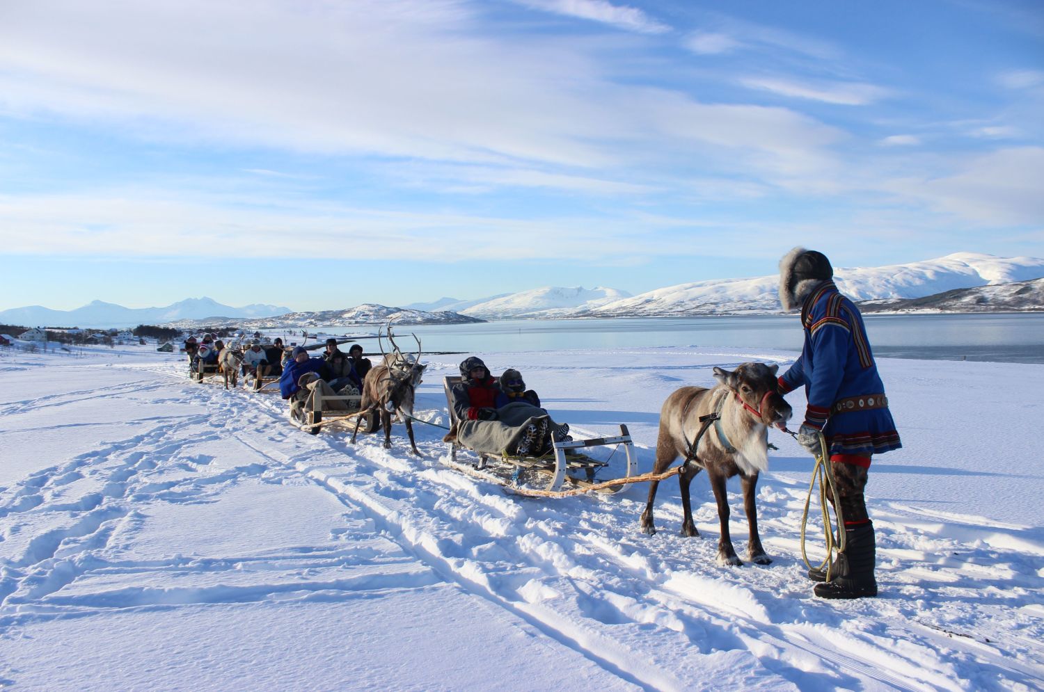 Reindeer sledding outside Tromsø