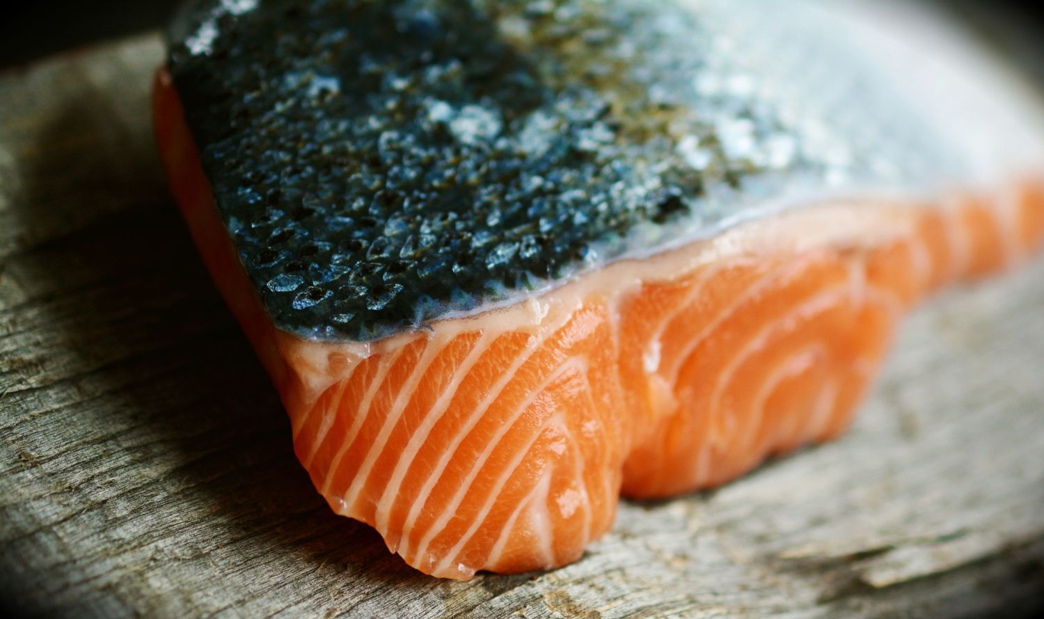 Salmon. Photo: Congerdesign for Pixabay