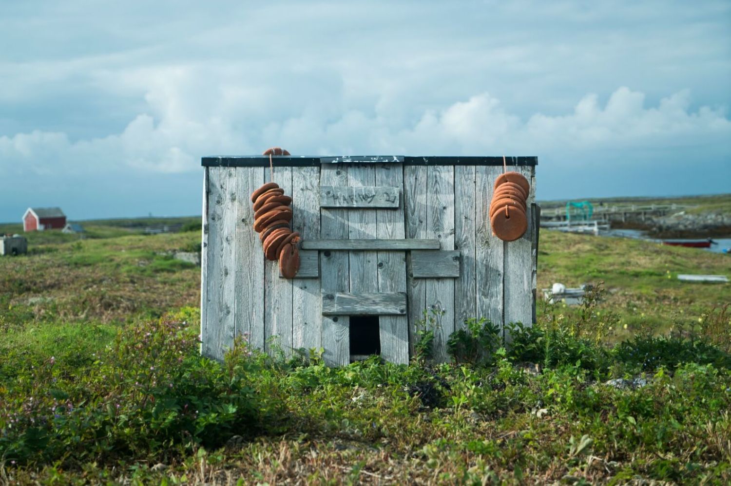 House for eider ducks. Photo: Anton Ligaarden, visitnorway.com