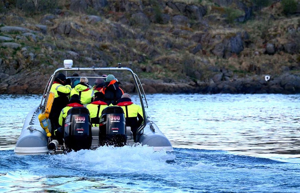 rib safari henningsvær lofoten havila norway excursion STUN3