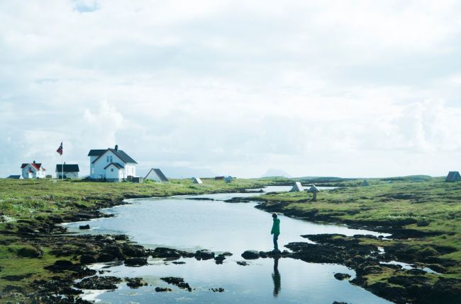 Vega landscape with small houses for eider ducks. Photo: Anton Ligaarden, visitnorway.com