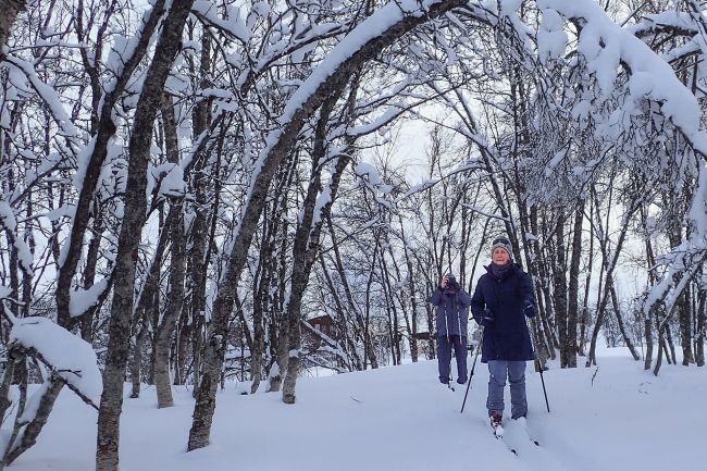 Cross-country skiing in Tromsø with Havila Voyages. Copyright: Lars Eirik, Tromsø Outdoor