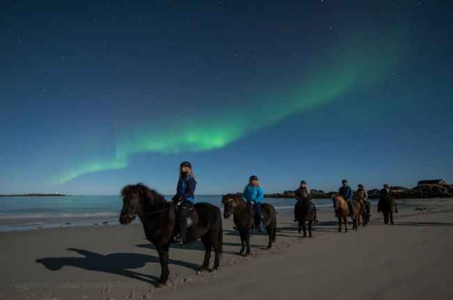 Folk som rir i nordlys i Lofoten